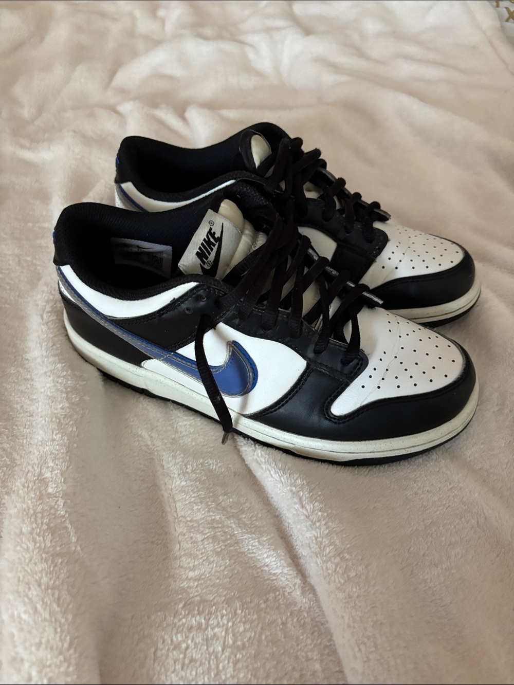 Nike Dunk Low Next Nature GS 'TPU Swoosh'